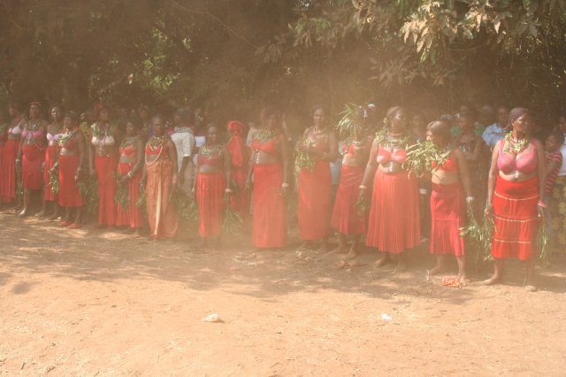 Ngou-ngoung 2012