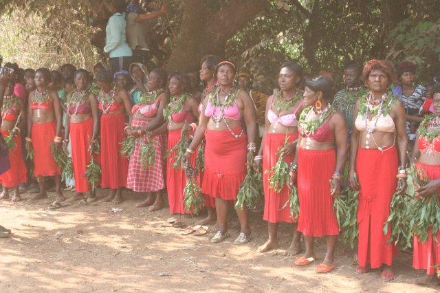 Ngou-ngoung 2012