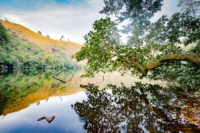 Lac