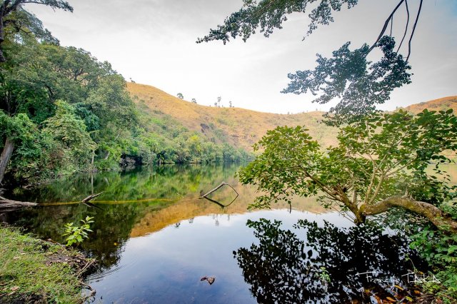 Lac
