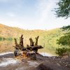 Lac